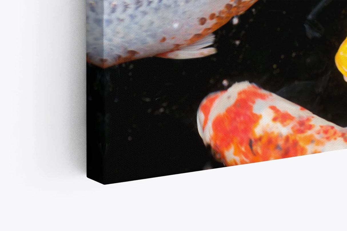 Paul Sinus Wandbild 120x80cm Koi Koiteich Zuchtkarpfen Farbenfroh Fische Teich