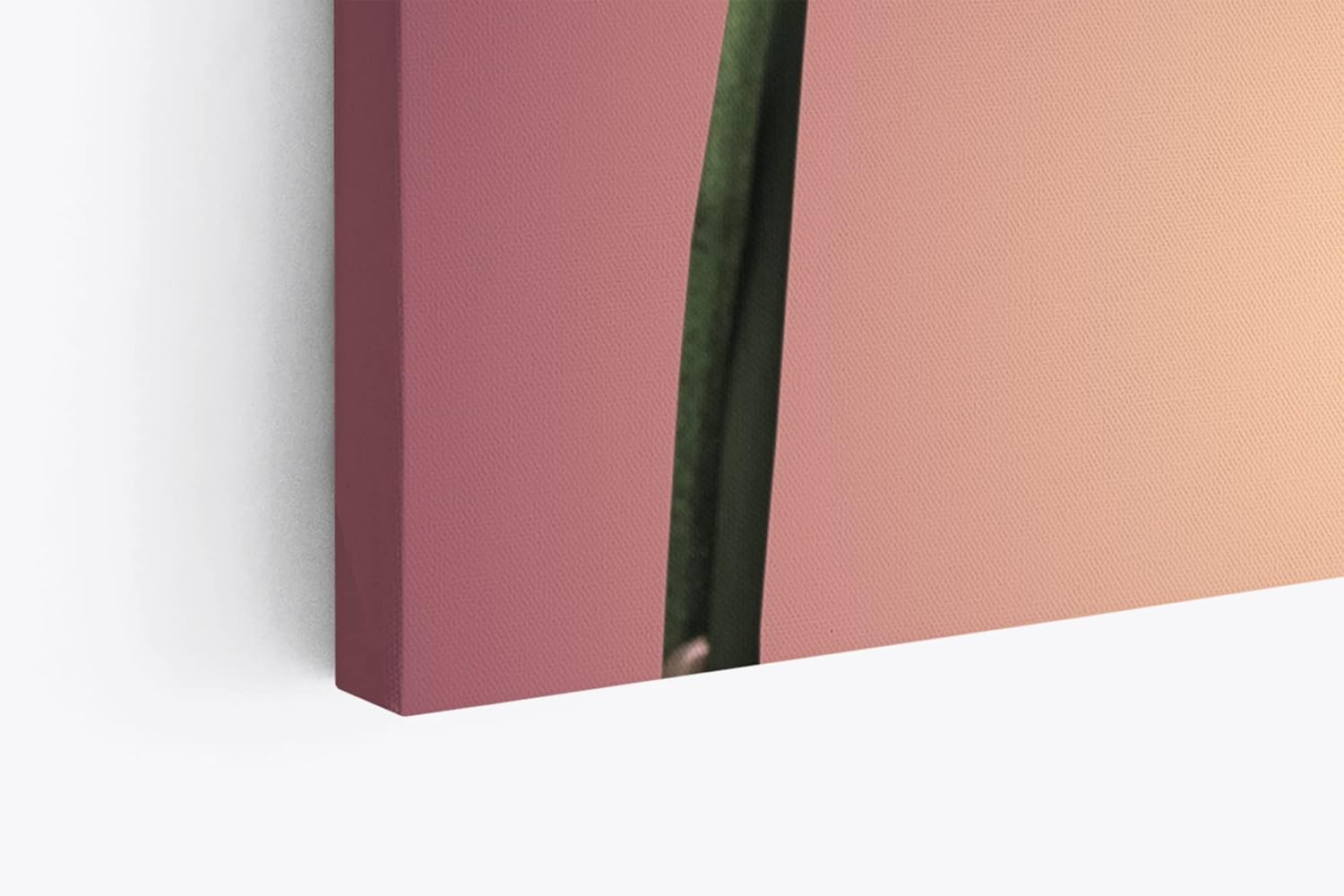 Paul Sinus Wandbild 120x80cm Orchidee Blume Blüten Rosa Kunstvoll Rosa