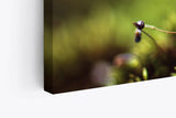 Paul Sinus Wandbild 120x80cm Wiese Grün Sonnenstrahlen Kunstvoll Natur