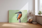 Sinus Art Wandbild 120x80cm Leuchtend blauer Eisvogel auf Ast vor ruhigem Hintergrund – naturgetreue Darstellung