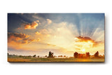 Sinus Art Wandbild 120x80cm Weite Felder im goldenen Abendlicht mit ausdrucksstarkem Himmelspanorama