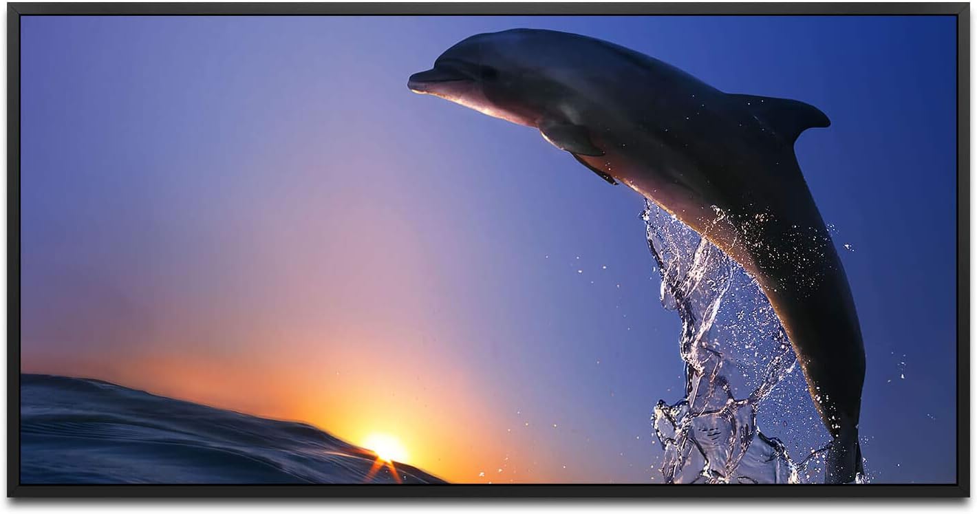 Delfin im Meer mit Wellen ca. 130x70cm Wandbild inklusive Schattenfugenrahmen schwarz - Panorama Leinwand Bild XXL Format Wandbilder Wohnzimmer Wohnung Deko Kunstdrucke