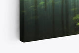 Paul Sinus Wandbild 120x80cm Wald Bäume See Wasserwald Kunstvoll Sonnenlicht Blau