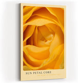Paul Sinus Kunstdruck 40x60cm Sun Petal Core Gelbe Rose Blüte Makro Nahaufnahme Wärme Natur