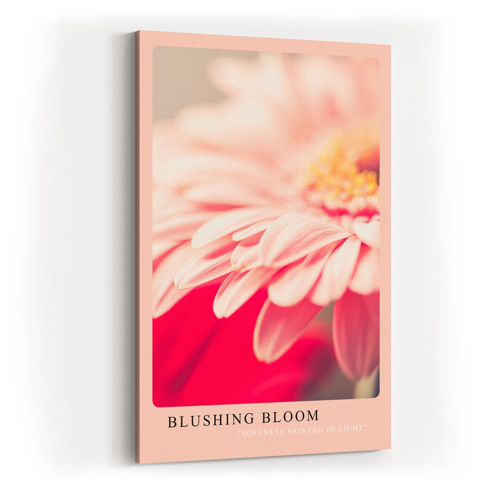 Paul Sinus Kunstdruck 40x60cm Blushing Bloom – Poesie in Rosa mit weichem Fokus
