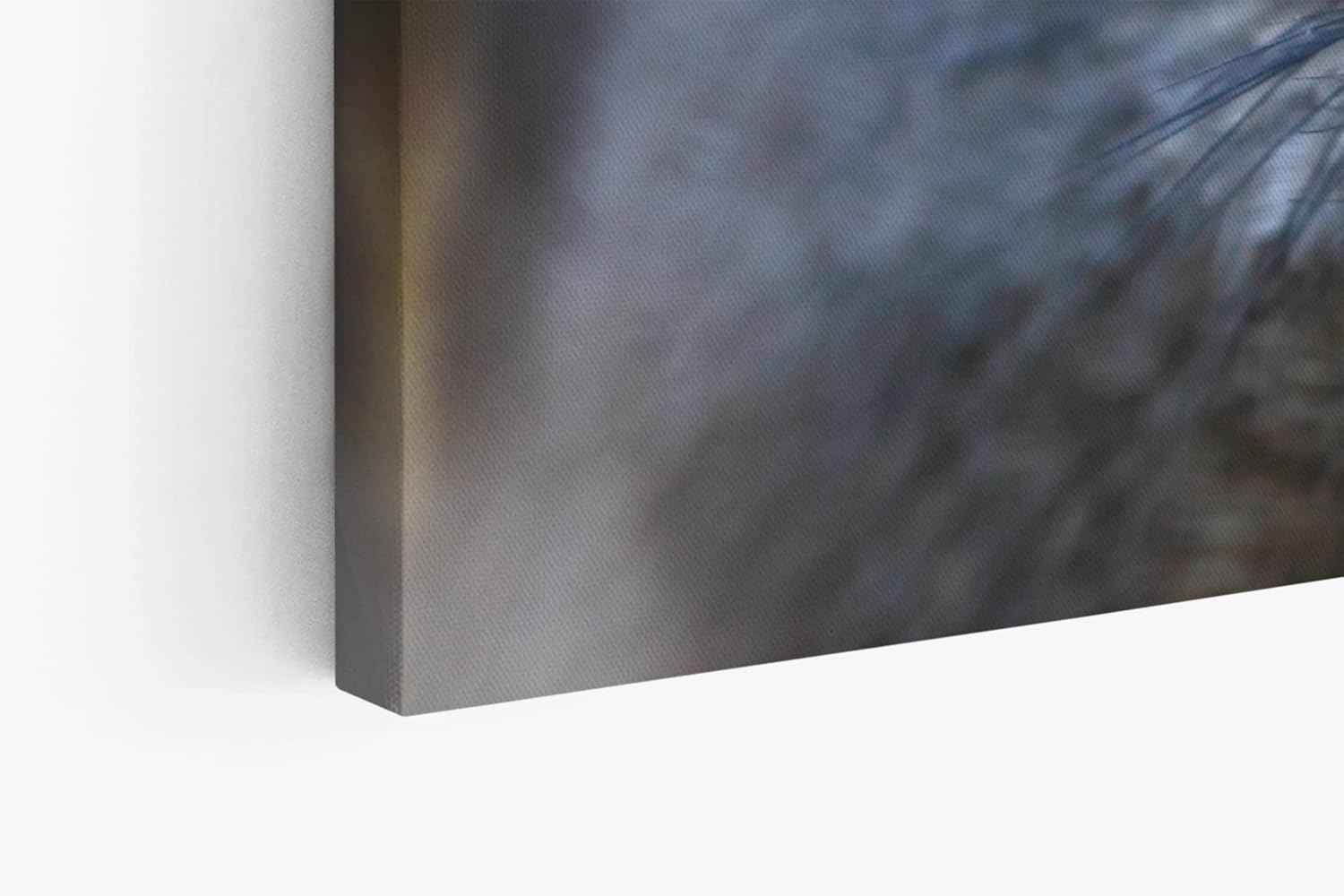 Paul Sinus Wandbild 120x80cm Schlangenweihe Greifvogel Tierfotografie Nahaufnahme