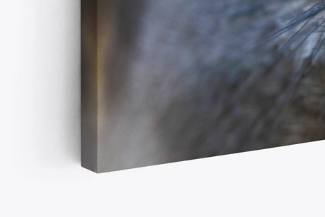 Paul Sinus Wandbild 120x80cm Schlangenweihe Greifvogel Tierfotografie Nahaufnahme