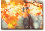 Sinus Art Wandbild 120x80cm Warmes Herbstlaub im Licht für stimmungsvolle und behagliche Wohnatmosphäre