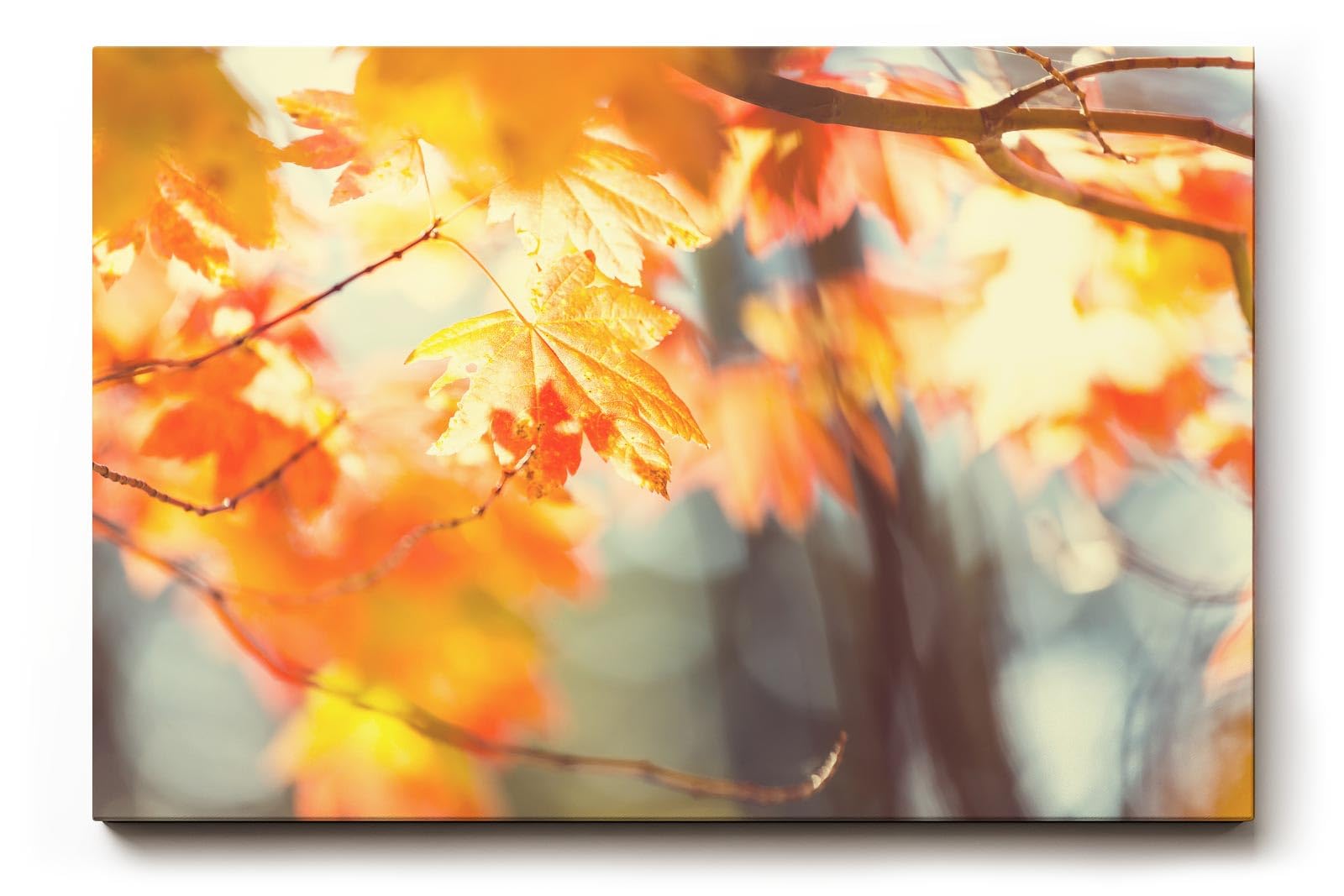 Sinus Art Wandbild 120x80cm Warmes Herbstlaub im Licht für stimmungsvolle und behagliche Wohnatmosphäre