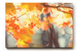 Sinus Art Wandbild 120x80cm Warmes Herbstlaub im Licht für stimmungsvolle und behagliche Wohnatmosphäre