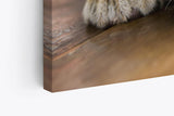 Paul Sinus Wandbild 120x80cm Kleiner Tiger Babytiger Katze Katzenbaby Flauschig
