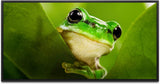 Frosch hinter Blättern ca. 130x70cm Wandbild inklusive Schattenfugenrahmen schwarz - Panorama Leinwand Bild XXL Format Wandbilder Wohnzimmer Wohnung Deko Kunstdrucke