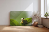 Sinus Art Wandbild 120x80cm Faszinierendes Motiv aus der Tierwelt mit verspieltem Charakter