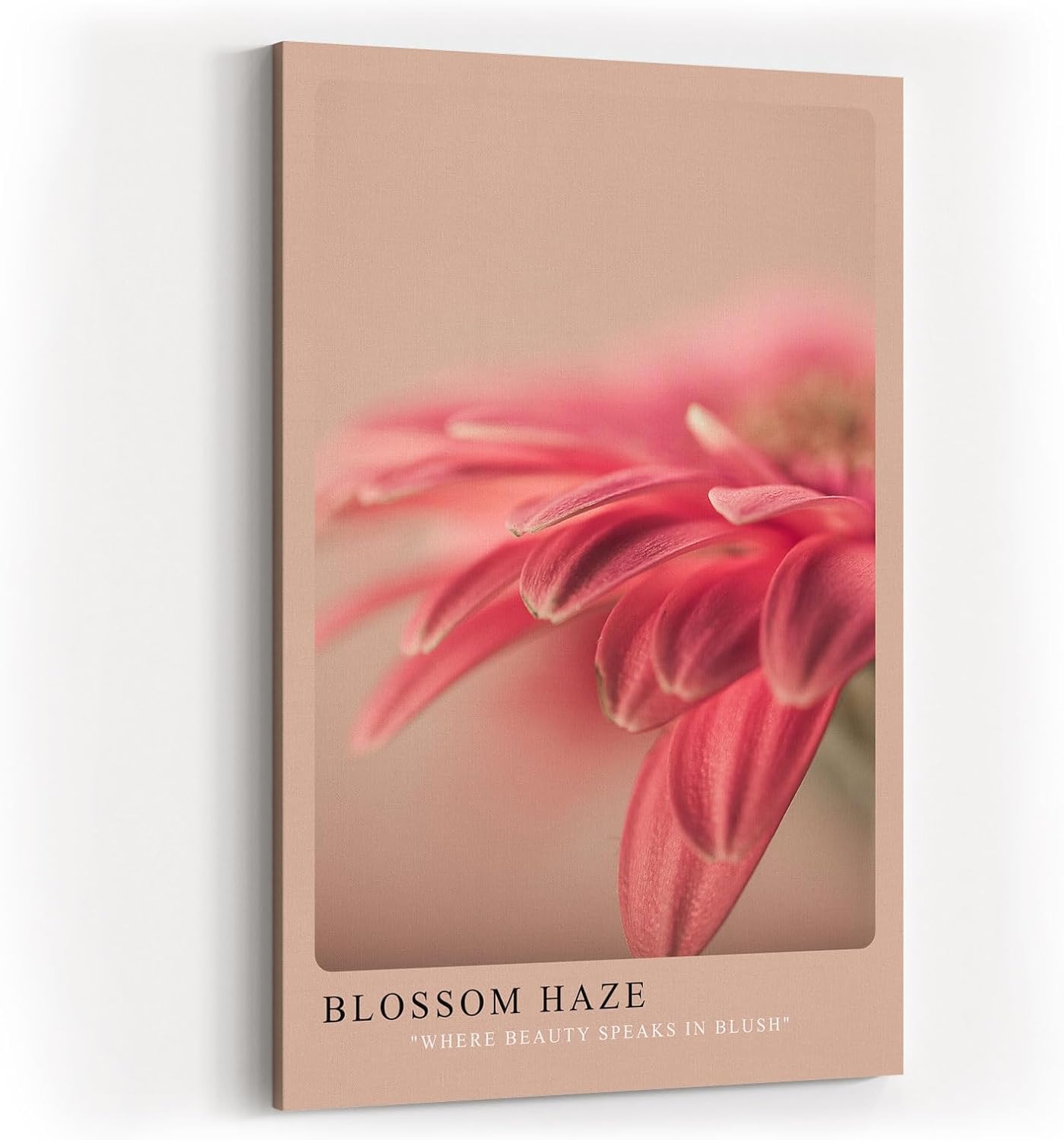 Paul Sinus Kunstdruck 40x60cm Blossom Haze – Zartrosa Blütentraum mit weichem Fokus