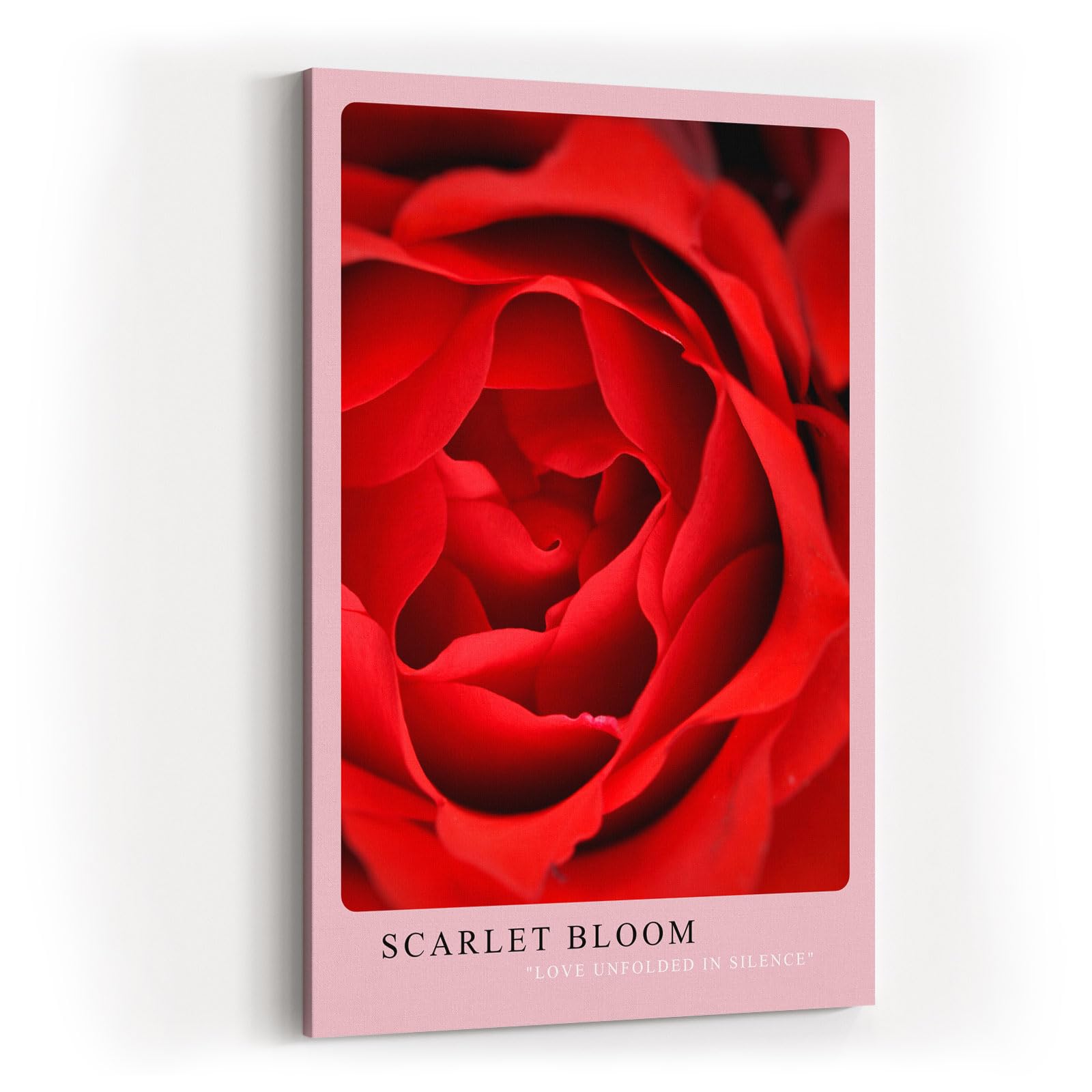 Paul Sinus Kunstdruck 40x60cm Scarlet Bloom – Rote Rosenblüte in Makroaufnahme mit eleganter Form und samtiger Textur