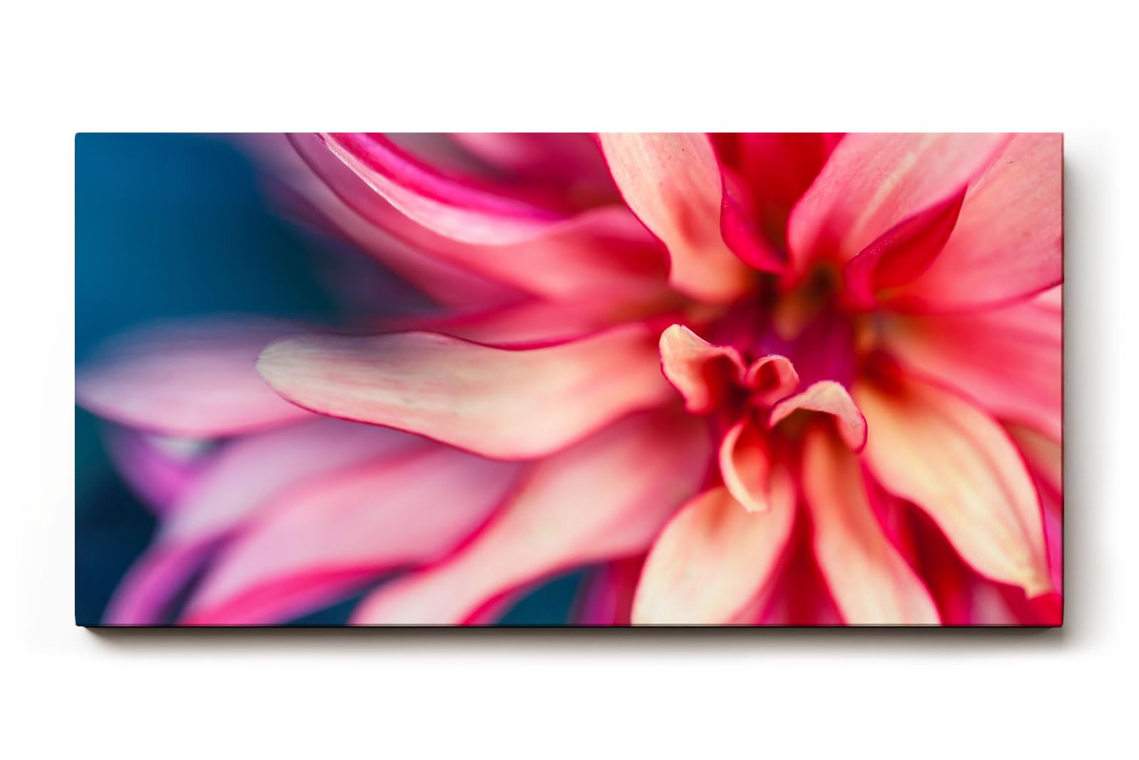 Sinus Art Wandbild 120x80cm Makroaufnahme einer farbenprächtigen Dahlie mit weichen Formen und kraftvoller Blütenmitte