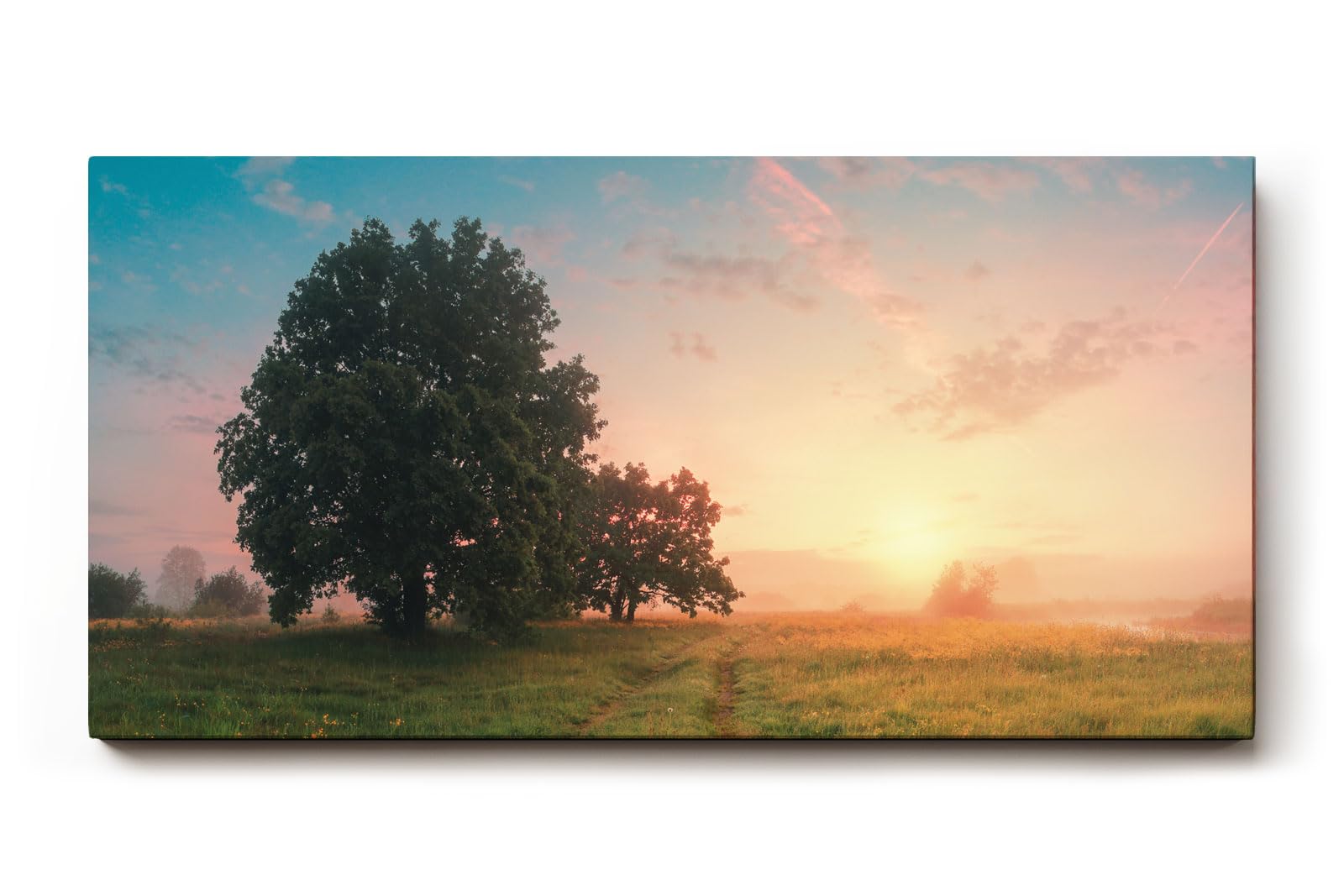 Sinus Art Wandbild 120x80cm Grüne Wiese im goldenen Morgenlicht mit Baumgruppe für eine friedliche Raumwirkung
