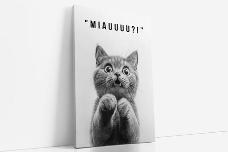 Paul Sinus Poster/Leinwandbild/Rahmenoption – Überraschtes Kätzchen „MIAUUU?!“ – Lustige WC-Deko für dein Badezimmer