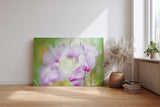 Sinus Art Wandbild 120x80cm Filigrane Cyclamenblüten in Rosa und Flieder vor weichem grünem Hintergrund