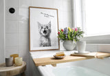 Paul Sinus Poster/Leinwandbild/Rahmenoption Lustiges Katzenbild – Freche Klo-Deko fürs Gäste-WC – Perfekt für Humorvolle