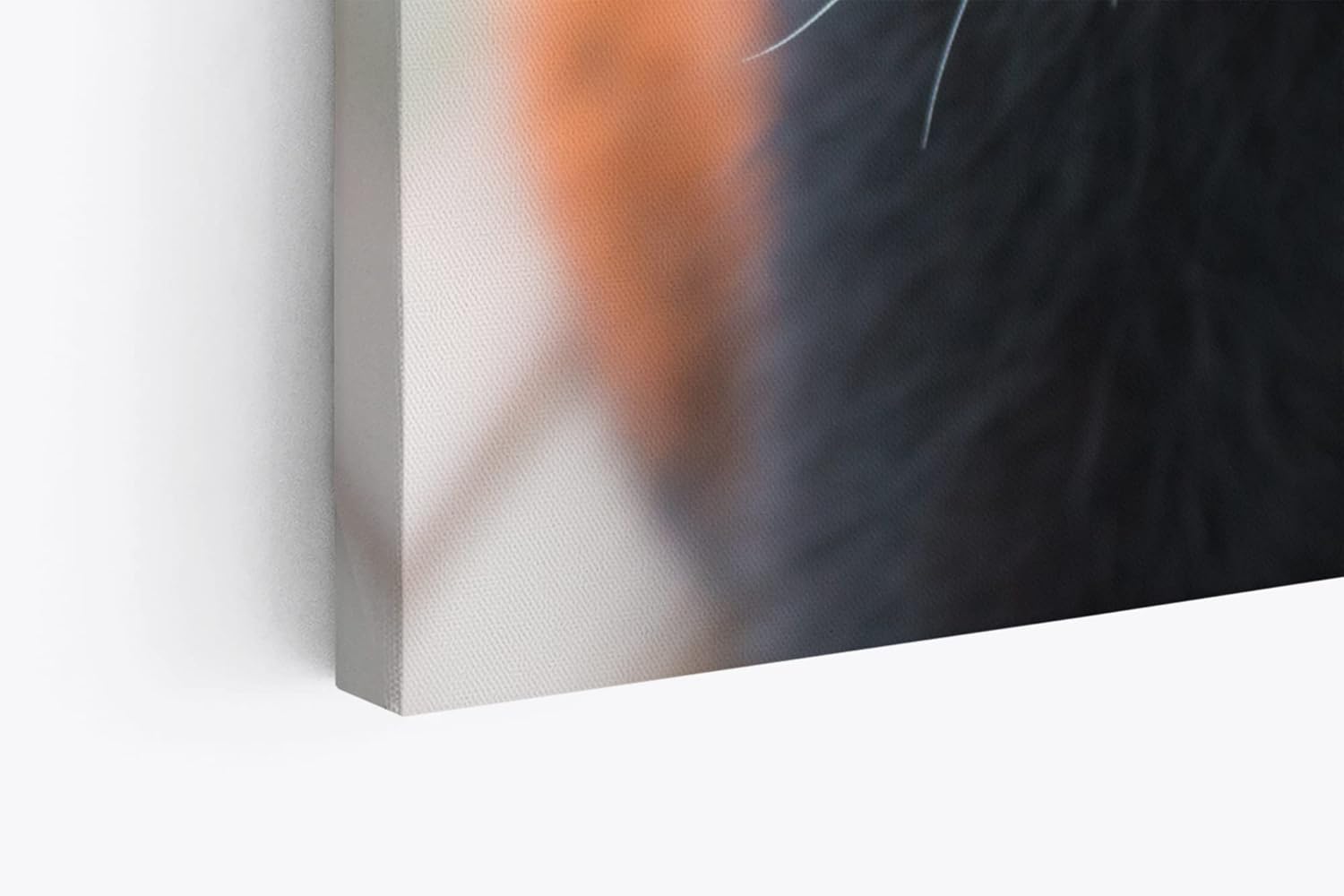 Paul Sinus Wandbild 120x80cm Kleiner roter Panda Tierfotografie Süß Flauschig