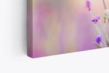 Paul Sinus Wandbild 120x80cm Lavendel Blumen Violett Feldblumen Wildblumen
