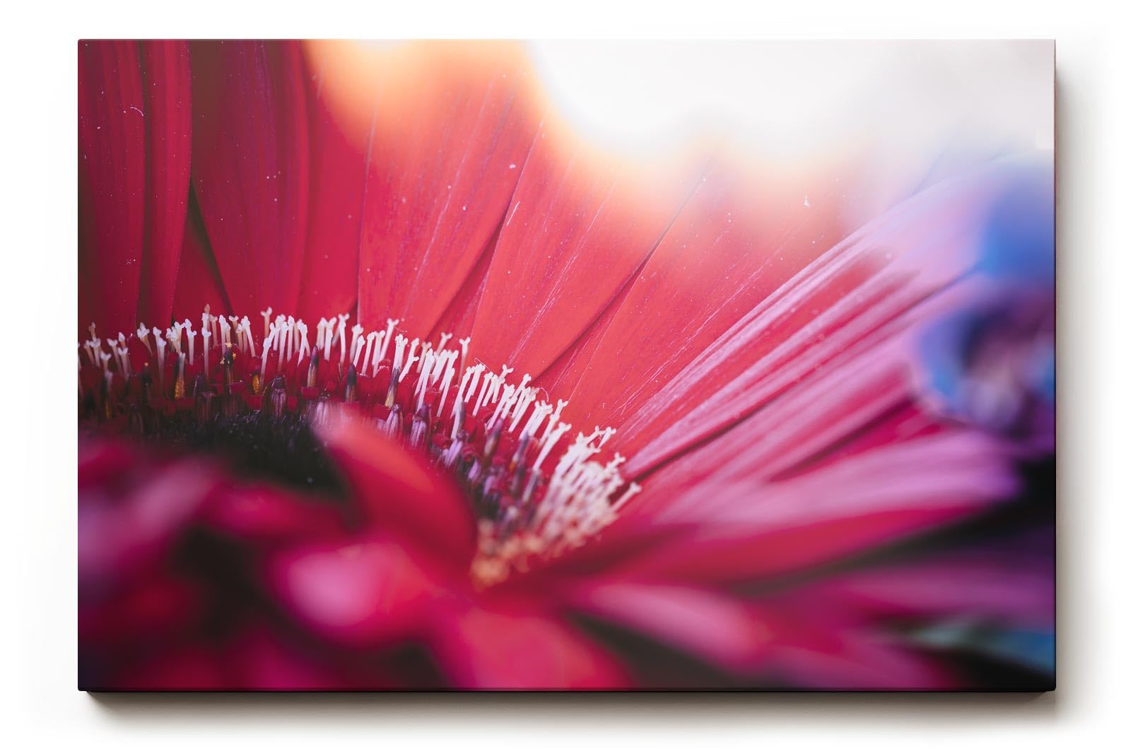 Sinus Art Wandbild 120x80cm Künstlerische Darstellung einer roten Blüte mit Lichtakzenten und unscharfen Strukturen