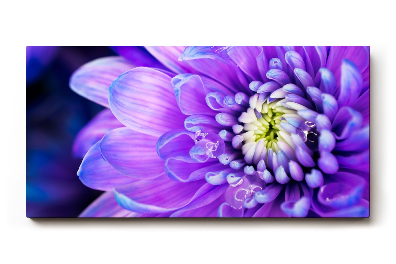 Sinus Art Wandbild 120x80cm Faszinierende Makroaufnahme einer violetten Blüte mit feinen Strukturen und natürlicher Tiefe