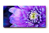 Sinus Art Wandbild 120x80cm Faszinierende Makroaufnahme einer violetten Blüte mit feinen Strukturen und natürlicher Tiefe