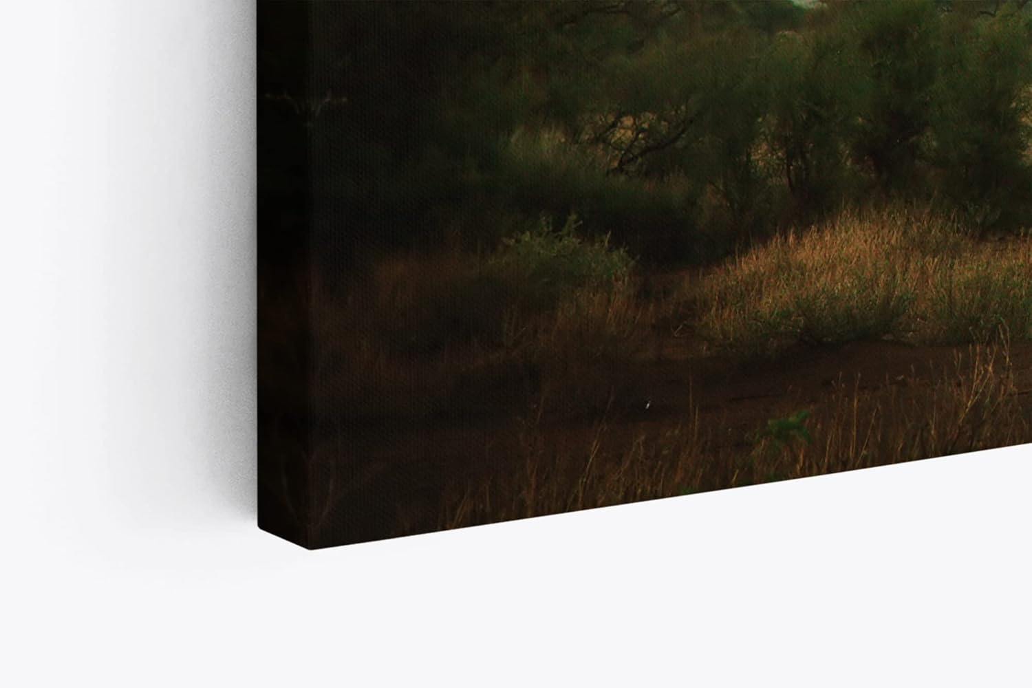 Paul Sinus Wandbild 120x80cm Kilimandscharo Berg Afrika Burkea Bäume Wolken