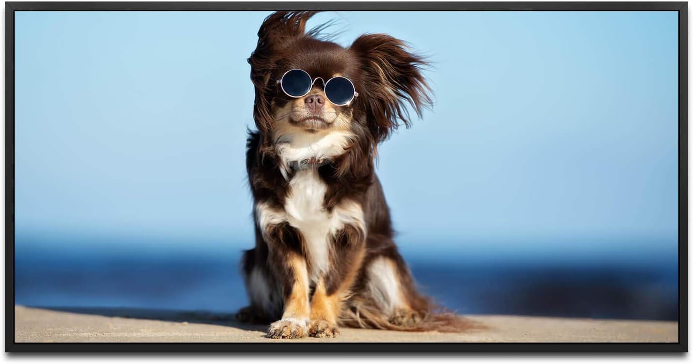 Hund mit Sonnenbrille ca. 130x70cm Wandbild inklusive Schattenfugenrahmen schwarz - Panorama Leinwand Bild XXL Format Wandbilder Wohnzimmer Wohnung Deko Kunstdrucke