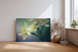 Sinus Art Wandbild 120x80cm Elegante Darstellung von Narzissen – Symbol für Neubeginn und Leichtigkeit