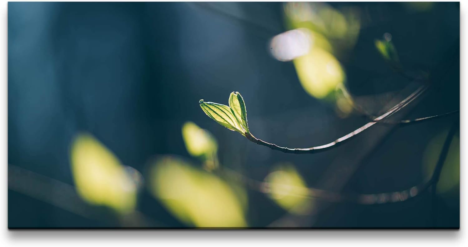 Knospen an einem Ast ca. 130x70cm Wandbild inklusive Schattenfugenrahmen weiss - Panorama Leinwand Bild XXL Format Wandbilder Wohnzimmer Wohnung Deko Kunstdrucke