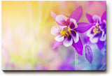 Sinus Art Wandbild 120x80cm Faszinierende Nahaufnahme einer violetten Blüte mit harmonischem Farbverlauf