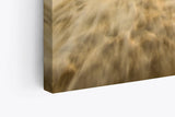 Paul Sinus Wandbild 120x80cm Holzsteg am Strand Sonnenuntergang Abendröte Meer