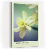 Paul Sinus Kunstdruck 40x60cm Spring Whirl Narzisse Blüte Frühling Gelb Makro Naturpastell