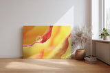 Sinus Art Wandbild 120x80cm Wassertropfen auf rotem Blütenrand – poetisches Motiv mit emotionaler Tiefe