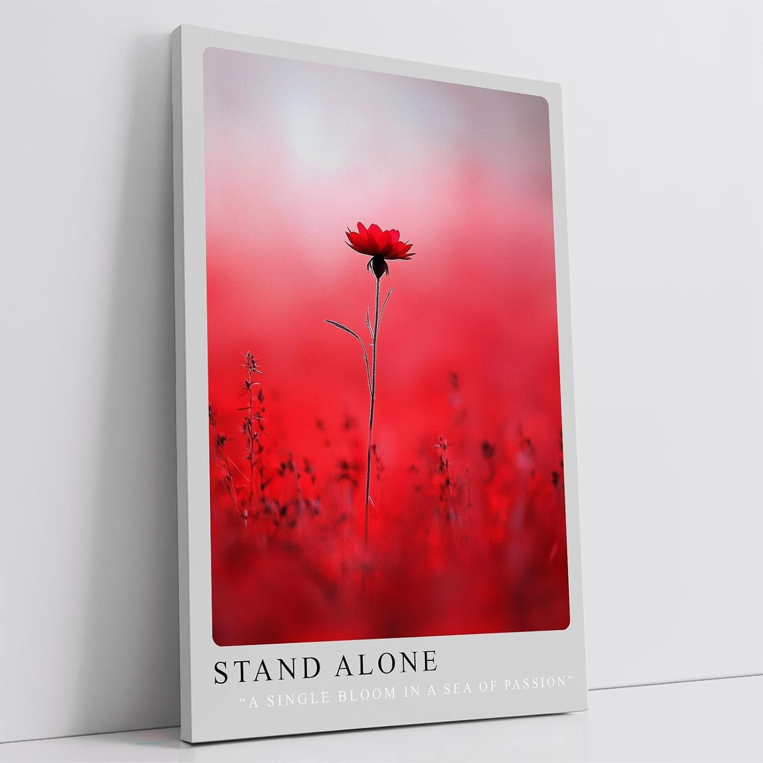 Paul Sinus Leinwandbild 60x90cm Stand Alone – Blume, Natur, Rot, Leidenschaft, Einsamkeit, Schönheit, Minimalismus, Kunst, Fotografie, Eleganz