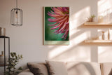 Paul Sinus Wandbild in 40x60cm Droplets and Delicacy – elegante Nahaufnahme einer pink-orangefarbenen Blüte mit Wassertropfen für stilvolle Wohnakzente