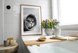 Paul Sinus Poster/Leinwandbild/Rahmenoption Lustiges Katzenbild – Süße Klo-Deko für dein Badezimmer – Perfekt fürs Gäste-WC