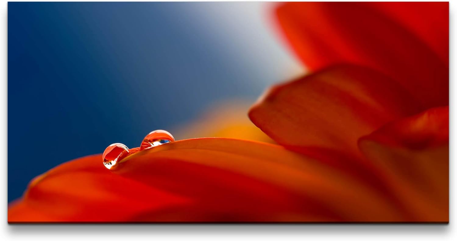 rote Blumen ca. 130x70cm Wandbild inklusive Schattenfugenrahmen schwarz - Panorama Leinwand Bild XXL Format Wandbilder Wohnzimmer Wohnung Deko Kunstdrucke