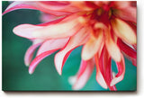 Sinus Art Wandbild 120x80cm Detailreiche Blütenaufnahme mit Bewegung und Leichtigkeit auf natürlichem Grund