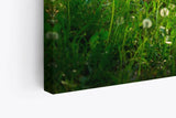 Paul Sinus Wandbild 120x80cm Wald Bäume Grün Pusteblumen Wiese Gras Sonnenschein