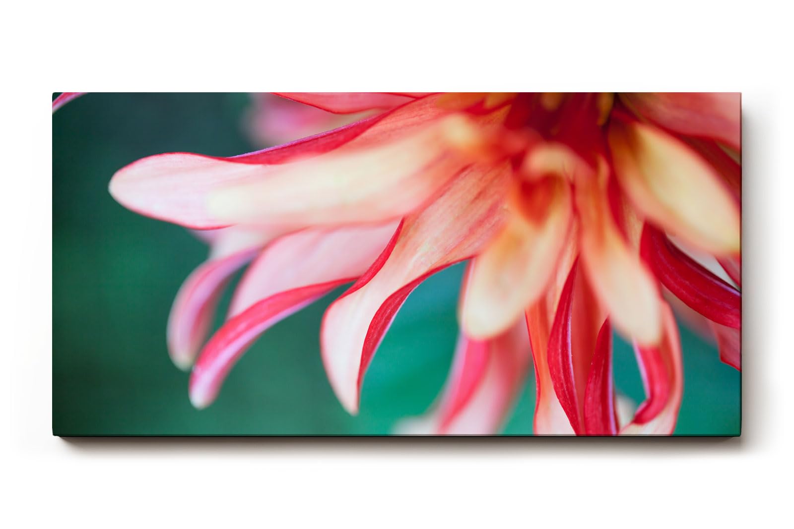 Sinus Art Wandbild 120x80cm Detailreiche Blütenaufnahme mit Bewegung und Leichtigkeit auf natürlichem Grund