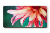 Sinus Art Wandbild 120x80cm Detailreiche Blütenaufnahme mit Bewegung und Leichtigkeit auf natürlichem Grund