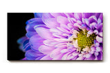 Sinus Art Wandbild 120x80cm Makro einer geöffneten Blüte – fesselnde Struktur mit leuchtendem Zentrum