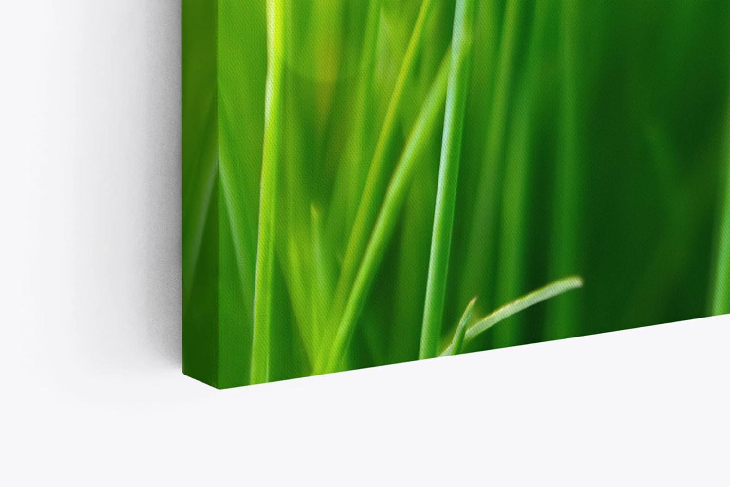 Paul Sinus Wandbild 120x80cm Gras Grashalme Grün Natur Nahaufnahme Wiese