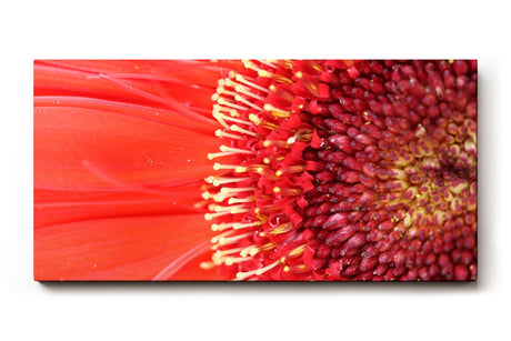 Sinus Art Wandbild 120x80cm Atemberaubende Nahaufnahme einer roten Blüte mit faszinierender Textur und Tiefe