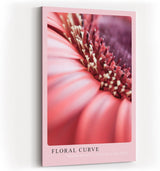 Paul Sinus Kunstdruck 40x60cm Floral Curve mit Makroaufnahme einer rosa Blüte in sanfter Kurve