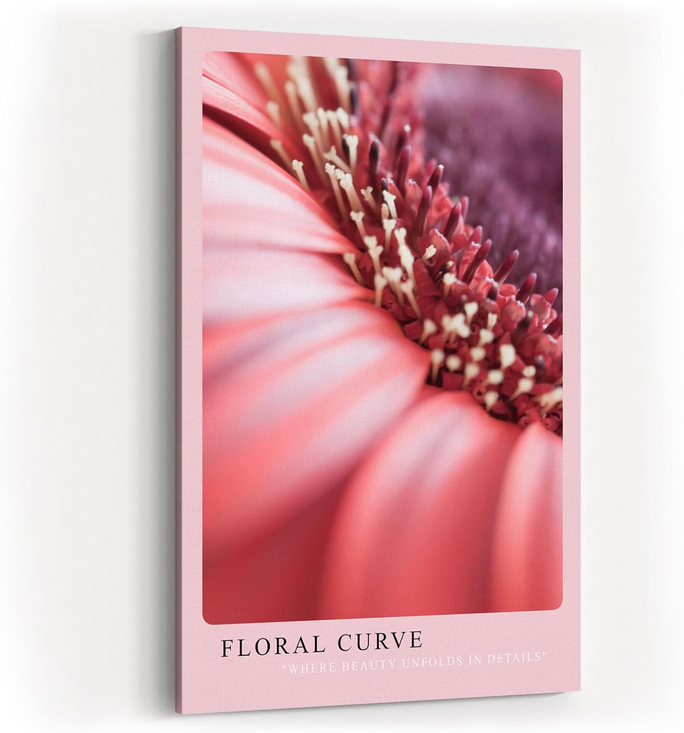 Paul Sinus Kunstdruck 40x60cm Floral Curve mit Makroaufnahme einer rosa Blüte in sanfter Kurve